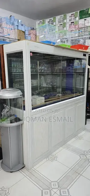 White Beautiful Aquarium