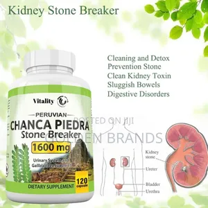 Superior 1600mg Kidney Stones Breaker 120 Capsules