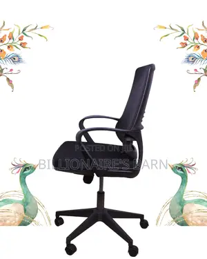 Imported Black Ergonomic Mesh Office Chair | Nylon Castors
