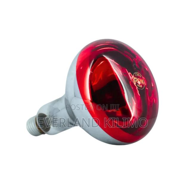 Vet-Approved Infra Red Bulb - main view