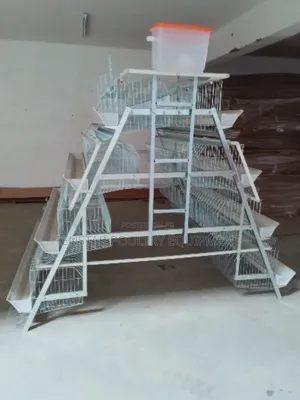 128 Birds Layer Cage