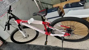 Premier Size 29 Adult Bike Mountain Bike