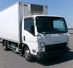 Isuzu Elf 2019 Freezer Truck