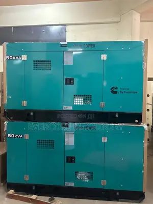 Hl Power 50kva Diesel Silent Generator With Inbuilt Automatic Switch.