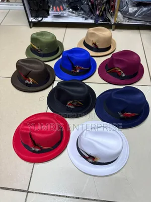 Small Papa Fedora Hats in Different Colors With a Feather Decor