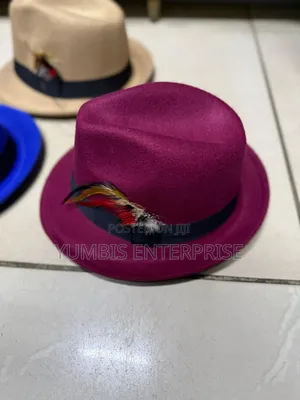 Small Fedora Hat