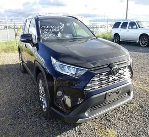 Toyota RAV4 XLE Premium AWD 2019 Black