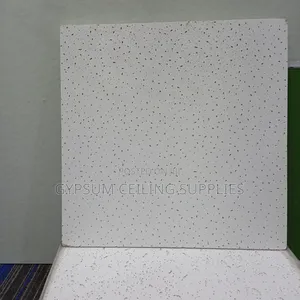 Acoustic Ceiling Tile