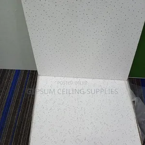 Acoustic Ceiling Tile