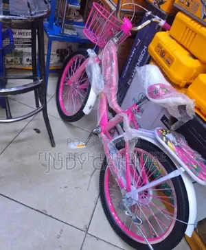 Size 20 Pink Bike