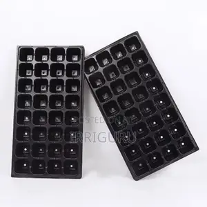 Seed Tray 1