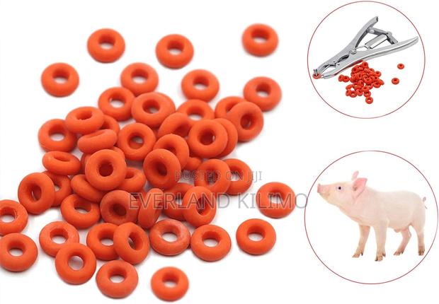 Tight-Grip Rubber Rubber Rings - 100's - main view