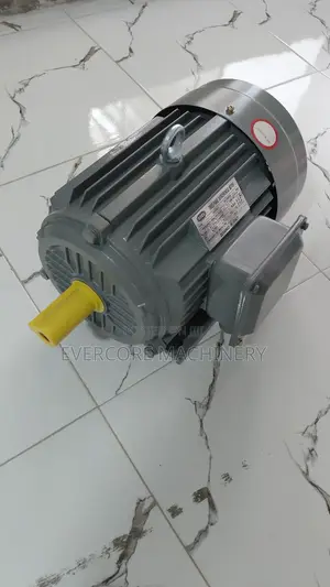 5.5hp Eletric Three Phase Motor STCL Italy