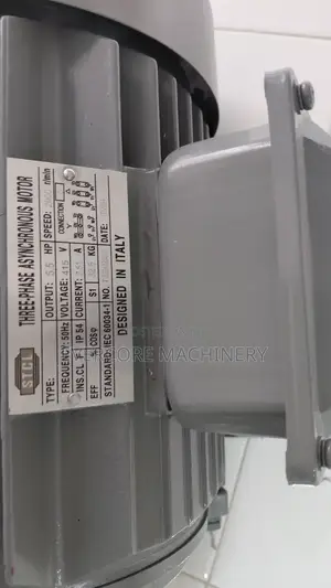 5.5hp Eletric Three Phase Motor STCL Italy
