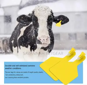 One Piece Ear Tag (Zed/ Zee Tags) for Cows, Goats, Camel - Plain