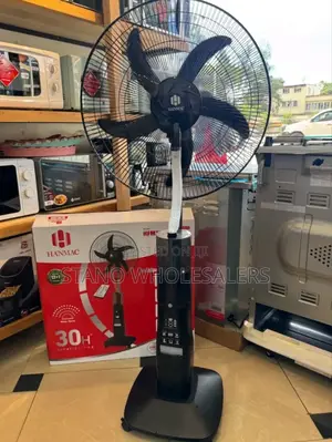 Standing Fan