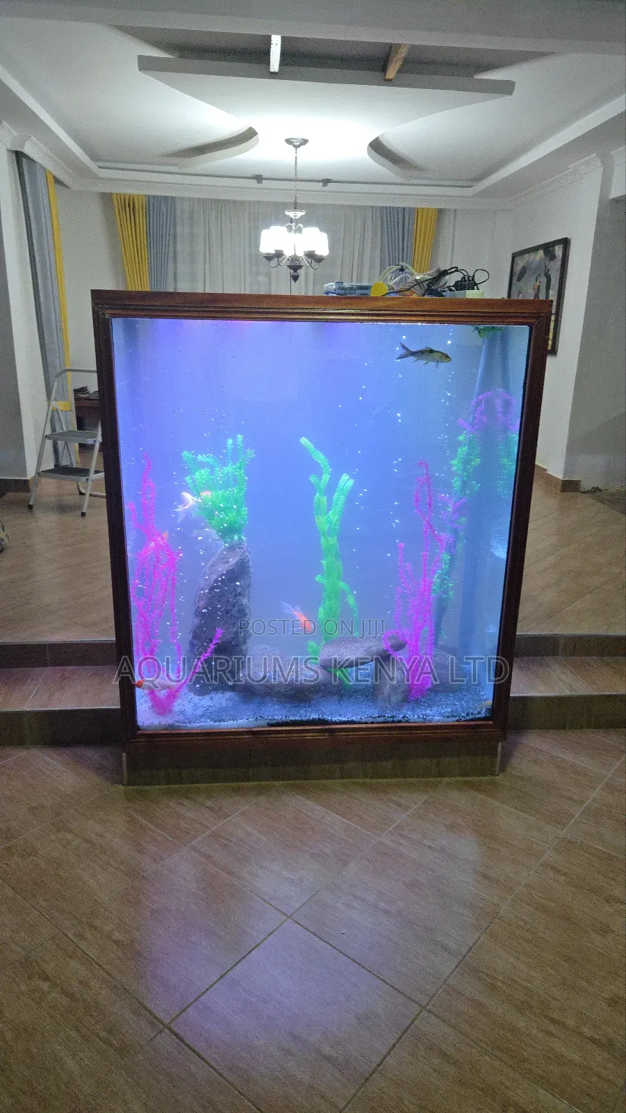 Build Custom Designed Aquarium for Interior Design