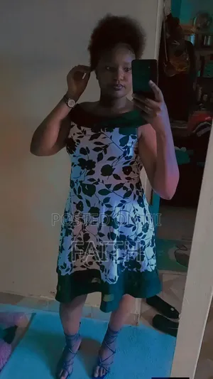 House Keeping Cleaning Professional