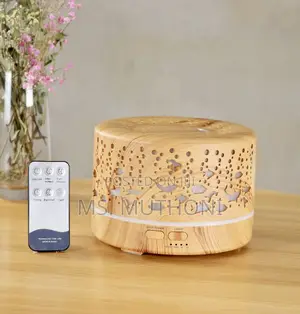 Remote Controlled 500 Ml Ultrasonic Humidifier