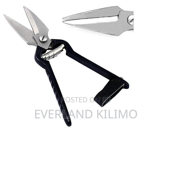 Easy-to-Use Goat Trimmer