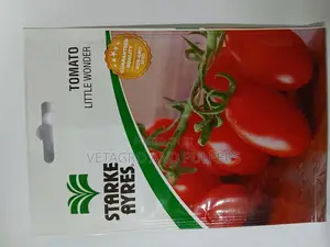 Tomato Little Wonder