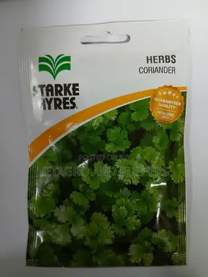 Herbs Coriander