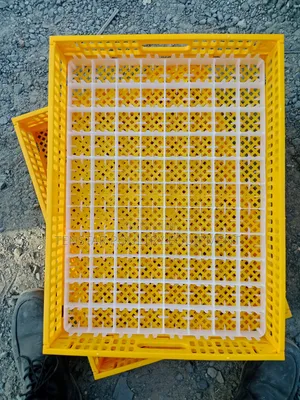 Yellow Hatching Basket