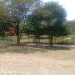 Land for Lease in Karen