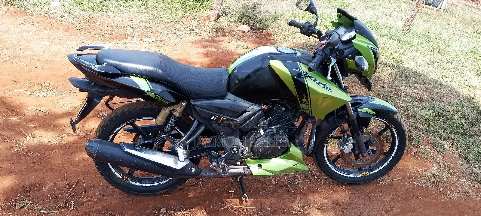 TVS Apache 160 4V 2021 Green