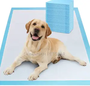 High Quality Disposable Pet Training Pee Pads - Medium Size (10pcs)