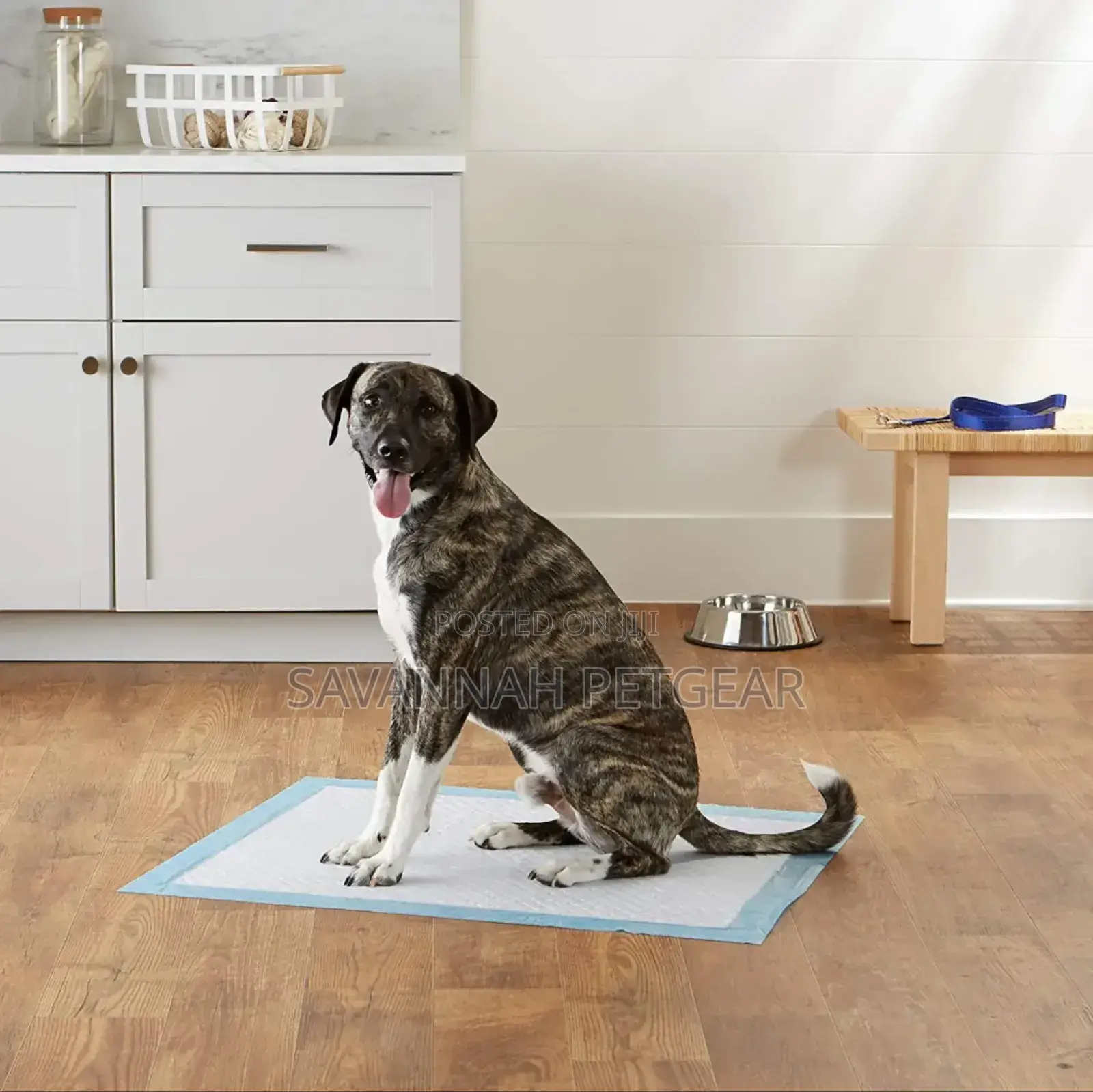 High Quality Disposable Pet Training Pee Pads - Medium Size (10pcs)
