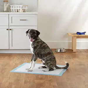 High Quality Disposable Pet Training Pee Pads - Medium Size (10pcs)