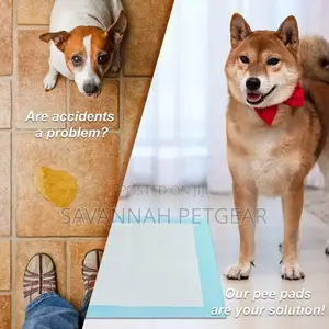 High Quality Disposable Pet Training Pee Pads - Medium Size (10pcs)