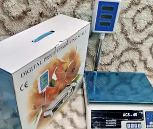 30kg Price Computing Scale