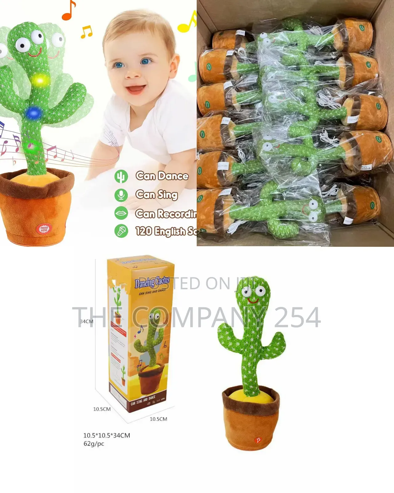 Dancing Cactus 
Packaged in a Box
 at KSH 1300