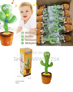 Dancing Cactus 
Packaged in a Box
 at KSH 1300