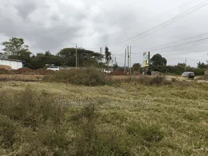 Commercial Quarter Acre 2nd Row Plot in Ongata Rongai Along Gataka Rd