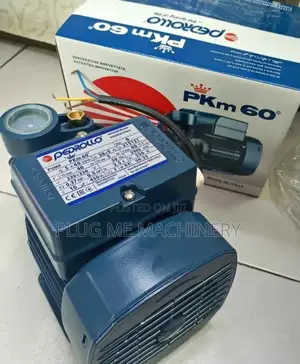 Water Pump/Pedrollo Water Pump