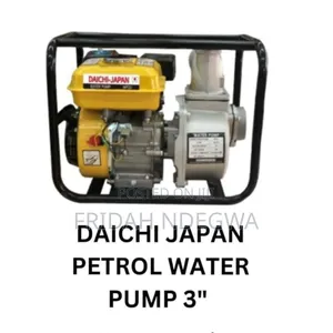 Daichi Japan Petrol Water Pump 3