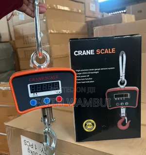 500kg Crane Scale Machine/Crane Scale 500kg