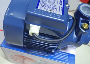 Pedrollo 0.5hp Water Pump