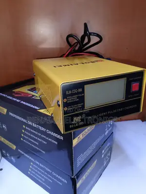 Efficient Car Battery Charger Fast Charger Microcomputer Controlsystem