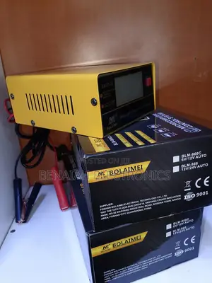 Best Selling Car Battery Charger Intelligent Charger