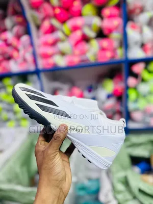 Trainer Shoes