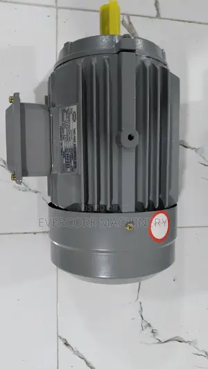Heavy Duty 3hp STCL Italy Lowspeed 3phase Motor