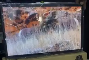 22" Inch - Ac-Dc Globalstar Digital Tv