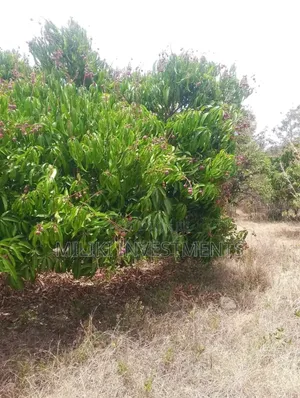 2 Acres Land O N Sale at Makuyu -Mithiini
