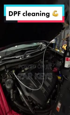 Diesel Particulate Filters 