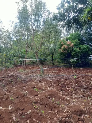 One Acre Land on at Summary -Maragua