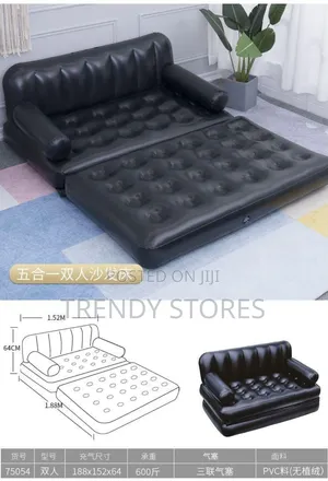 Inflatable Pullout Sofa